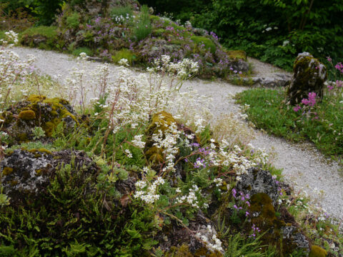 Alpengarten Bad Aussee