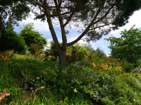 Philemons Garten, Bernhard Strohmaier, Steiermark