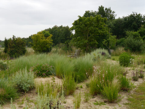 Das Sandbeet im Schaugarten von SARASTRO STAUDEN