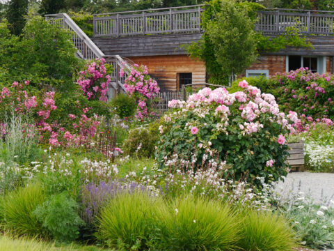 "Garten der Vielfalt" Reinhard Oberleitner, Pöchlarn, Niederösterreich